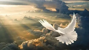Ragam Karunia Dalam Satu Roh (1 Korint 12 : 3 – 11)